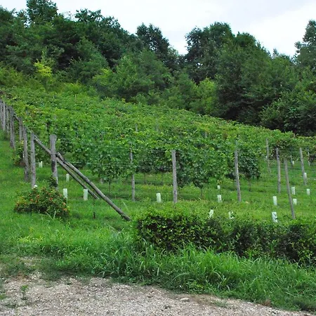 Pensionat Casa Dei Frati