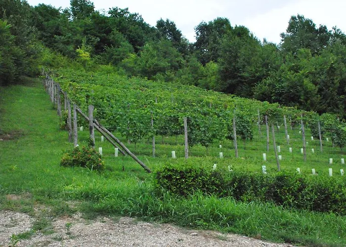 Gæstehus Casa Dei Frati